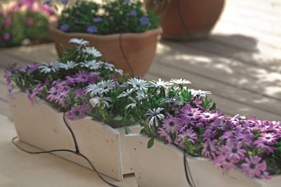 Image showing  40 ft. Genesis Dripper Watering Kit, 24 pc.