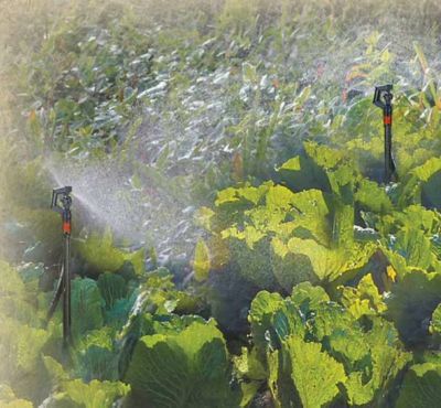 Image showing  20 ft. Genesis Micro Sprinkler Watering System