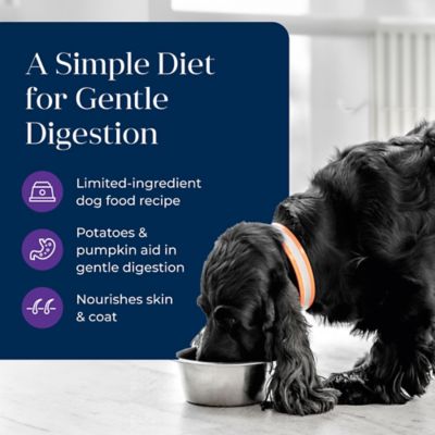 Image showing  Adult Limited Ingredient Grain-Free Natural Turkey Pate Wet Dog Food, 12.5 oz. Can