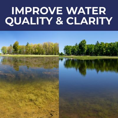 Image showing 5 th PondValue Ultimate Pond Clarifier, 6 lb.