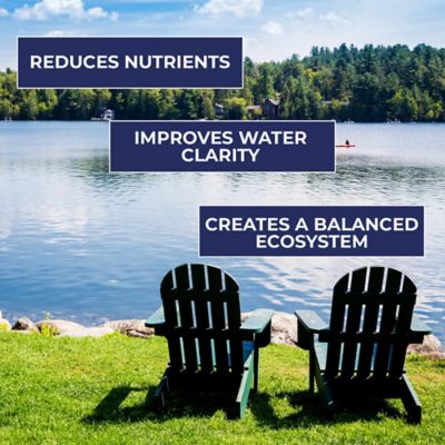 Image showing 6 th PondValue Ultimate Pond Clarifier, 6 lb.