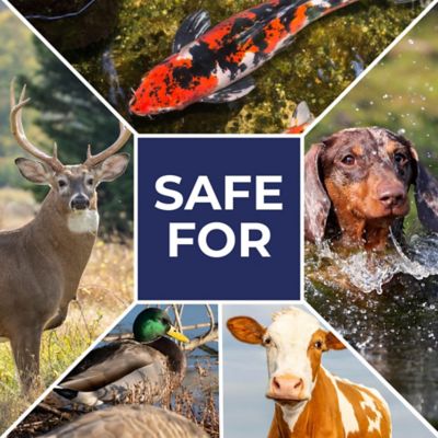 Image showing 7 th PondValue Ultimate Pond Clarifier, 6 lb.