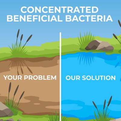 Image showing 8 th PondValue Ultimate Pond Clarifier, 6 lb.