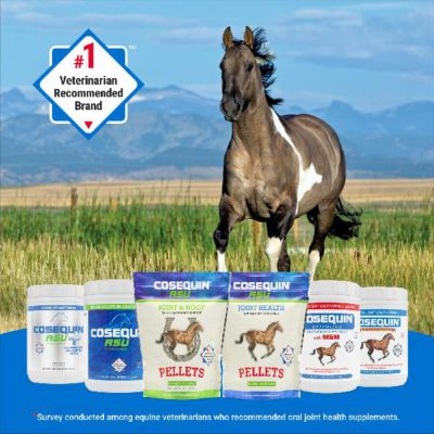 Image showing  ASU Horse Supplement, 500g