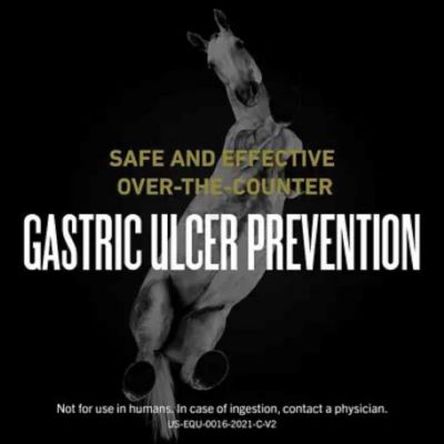 Image showing  Oral Paste for Horses, 4 Doses