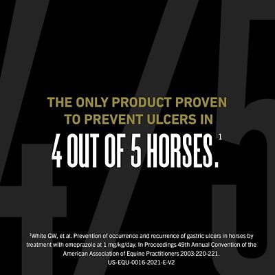 Image showing  Oral Paste for Horses, 4 Doses