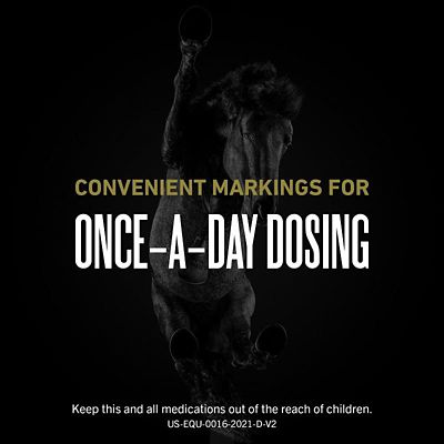 Image showing  Oral Paste for Horses, 4 Doses