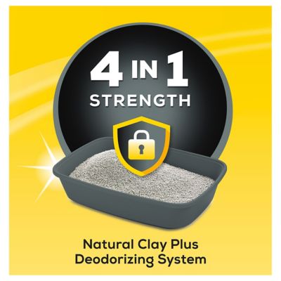 Image showing  4-in-1 Strength Scented Clumping Clay Cat Litter, Multi-Cat