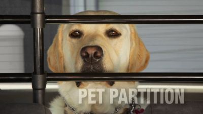 Image showing  Pet Partition Dog Vehicle Barrier, 34-60 in. x 27-45 in.
