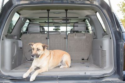 Image showing  Pet Partition Dog Vehicle Barrier, 34-60 in. x 27-45 in.