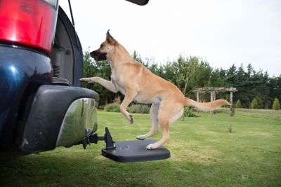 Heininger PortablePet Twistep Pet Steps for SUVs