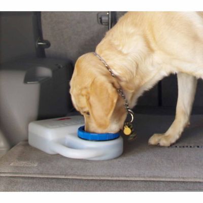 Image showing  WaterBoy Pet Travel Bowl, 3 qt.