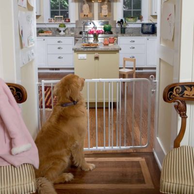 Image showing  Aluminum Extension for Stairway Special Indoor Safety Pet Gates