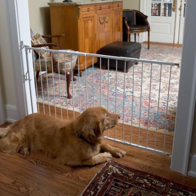Image showing  Extension for Duragate Pet Gate