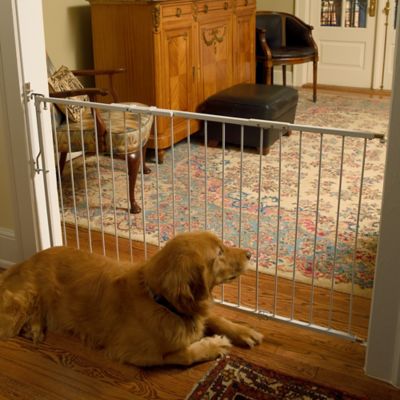 Image showing  Extension for Duragate Pet Gate