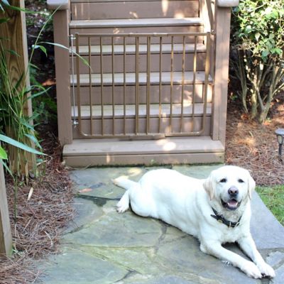 Cardinal Stairway Special Outdoor Safety Pet Gate, Brown, 27 in. to 42 in.