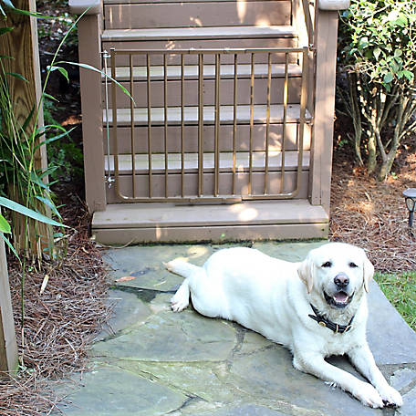 Cardinal Stairway Special Outdoor, Outdoor Dog Gates