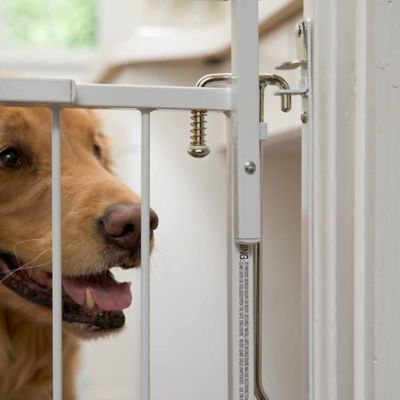 Image showing  Duragate Pet Gate, White, 26-1/2 to 41-1/2 in.