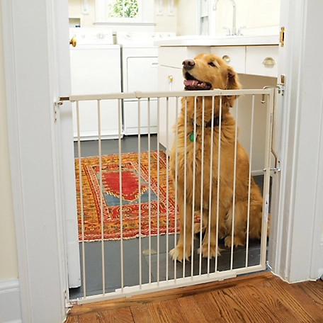 Cardinal Duragate Pet Gate, Taupe, 26-1/2 to 41-1/2 in.