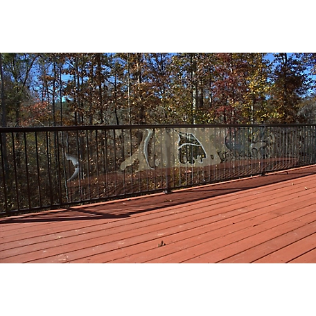 Cardinal Outdoor Clear Pet Deck Shield, 15 ft. x 36 in.