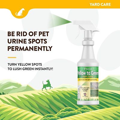 Image showing  Yellow to Green Lawn Spray, 32 oz.