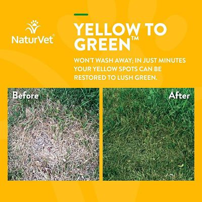 Image showing  Yellow to Green Lawn Spray, 32 oz.