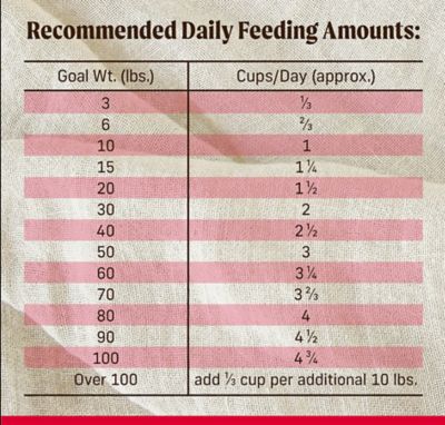 Image showing  Backcountry Raw Infused Adult Grain-Free Great Plains Red Recipe with Beef and Lamb Dry Dog Food