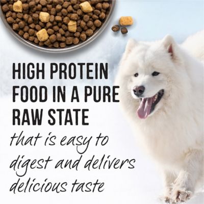 Image showing  Backcountry Grain Free Dry Adult Dog Food Kibble With Freeze Dried Raw Pieces, Great Plains Red Recipe