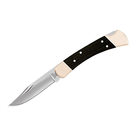 Buck Knives 3.75 in. 110 Folding Hunter Knife
