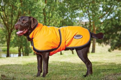 dog reflective coat