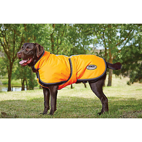 PREVENTS Accidents by Warning Others of Your Dog in Advance! M-L Coat SERVICE DOG Blue Color Coded Nylon Reflective Waterproof Fleece Lined Warm S-M M-L L-XL Dog Coats Do Not Disturb