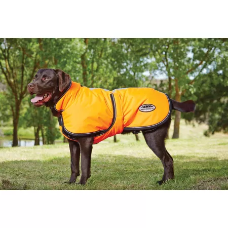 WeatherBeeta ComFiTec 300D Deluxe Reflective Dog Parka Dog Coats & Jackets