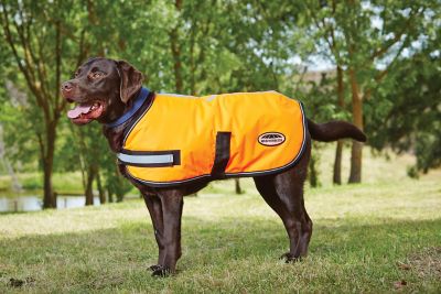 WeatherBeeta ComFiTec Reflective Parka 300D Dog Coat