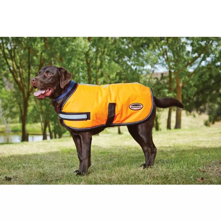 WeatherBeeta ComFiTec 300D Reflective Dog Parka Dog Coats & Jackets