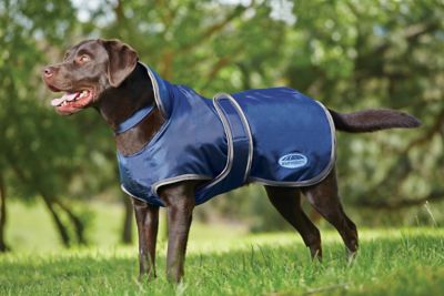 WeatherBeeta ComFiTec Windbreaker 420D Deluxe Dog Coat