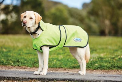 weatherbeeta fleece dog coat