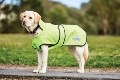 Weatherbeeta windbreaker shop 420d dog coat