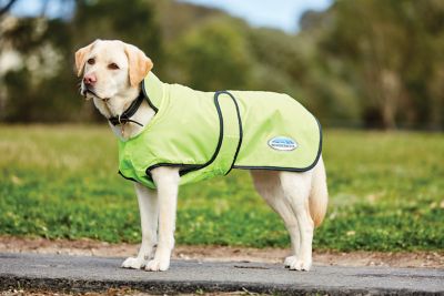 WeatherBeeta ComFiTec Windbreaker 420D Deluxe Dog Coat