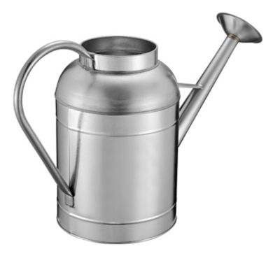 Image showing  2.3 gal. Milk Jug Watering Can