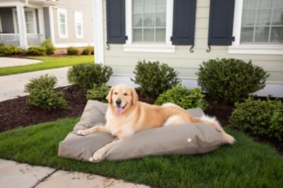 Snoozer Waterproof Rectangle Mat Dog Bed