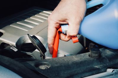 Image showing  Flexible Spout Funnel