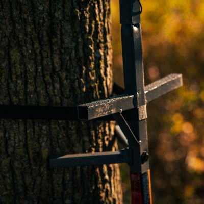 Image showing  20 ft. Connect-N-Climb Tree Stand Climbing System