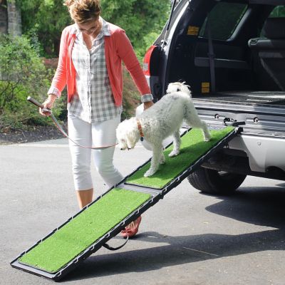 Image showing  Natural-Step Pet Ramp for Dogs Up to 250 lb., 72 in., Green Grass
