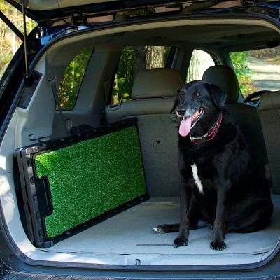 Image showing  Natural-Step Pet Ramp for Dogs Up to 250 lb., 72 in., Green Grass