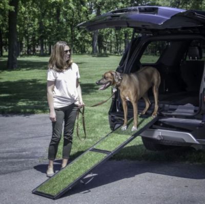 Image showing 5 th Gen7Pets Natural-Step Pet Ramp for Dogs Up to 250 lb., 72 in., Green Grass