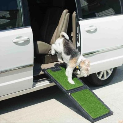 Image showing 8 th Gen7Pets Natural-Step Pet Ramp for Dogs Up to 250 lb., 72 in., Green Grass