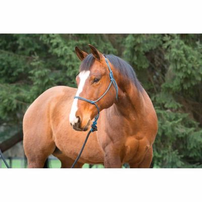 Image showing  Big Sky Rope Horse Halter, 1/4 in.