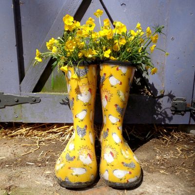 Image showing  Women's Chicken Print Mid Waterproof Rain and Garden Boots, 8 in.