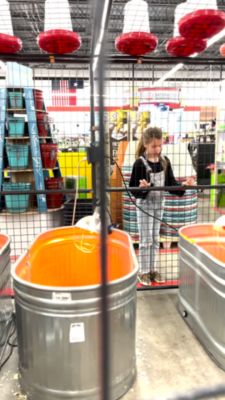 Image showing  Poultry Watering Cups, 2-Pack