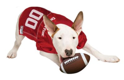 Image showing  NCAA Alabama Crimson Tide Pet Jersey